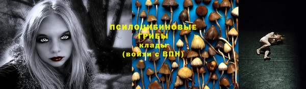 соль ск Зеленодольск