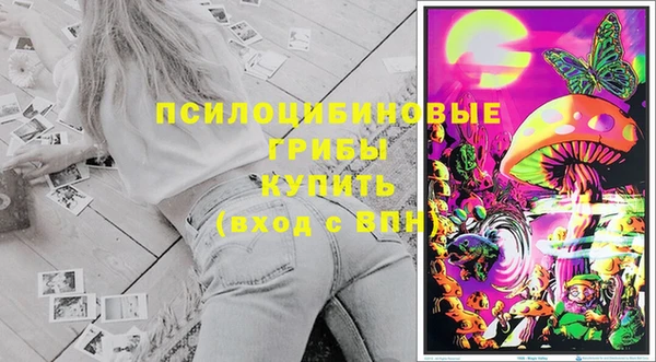соль ск Зеленодольск