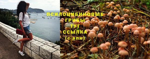 соль ск Зеленодольск