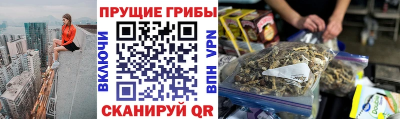 Галлюциногенные грибы прущие грибы  Купить  Светлогорск 